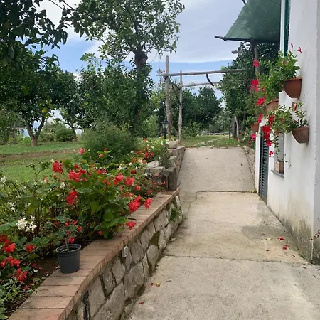 بيت ضيافة Lemons Hill *