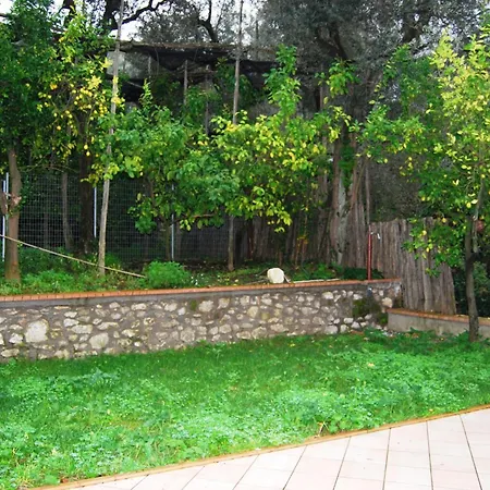 بيت ضيافة Lemons Hill