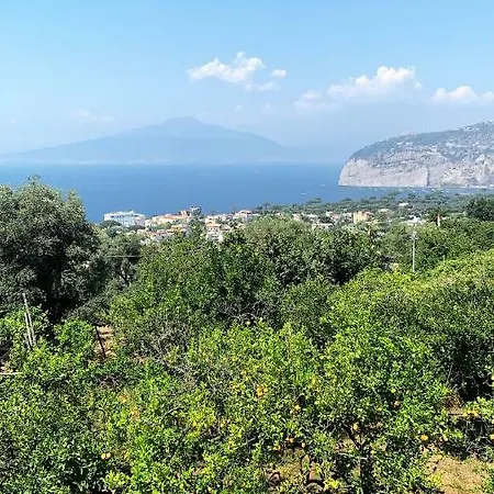 Lemons Hill بيت ضيافة *