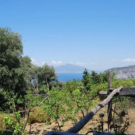 بيت ضيافة Lemons Hill سورينتو