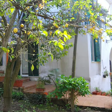 Lemons Hill Maison d'hôtes Sorrente