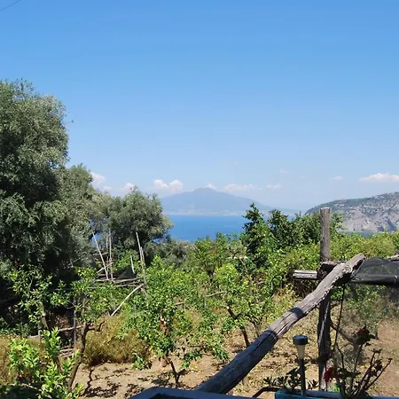 Maison d'hôtes Lemons Hill Sorrente