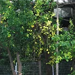Studios Guest house 4*
