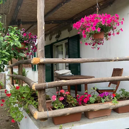 Studios Gasthof 4*