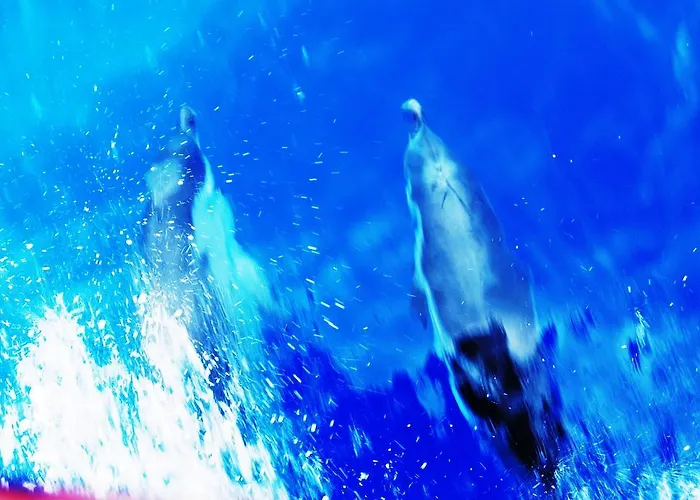 Lemons Hill Sorrento