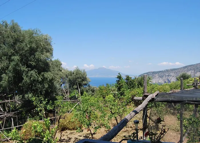 Casa de hóspedes Lemons Hill Sorrento