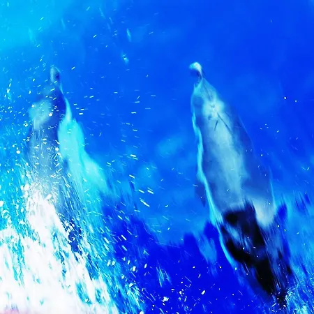 Lemons Hill Сорренто