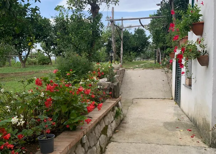 Vendégház Lemons Hill 4*