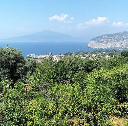 Lemons Hill Vendégház 4*